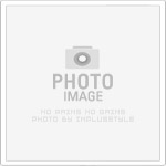 從根本解決：女性掉髮不是問題，揭示更年期掉髮的神秘面紗