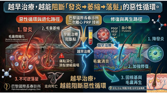 育髮三階段修復理論